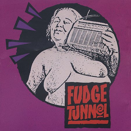 Fudge Tunnel - Fudgecake (CD)