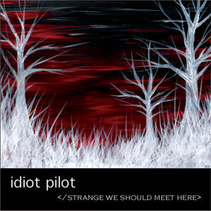 Idiot Pilot - Strange We Should Meet Here (CD)