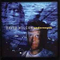 David Wilcox - Underneath (CD)