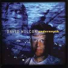 David Wilcox - Underneath (CD)