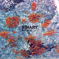 Rat & Co - Binary (CD)