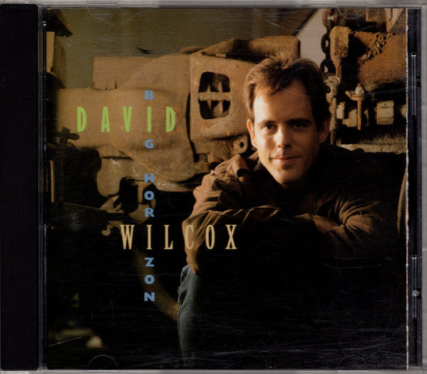David Wilcox - Big Horizon (CD)