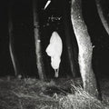 Flood Of Red - Throw (CD)