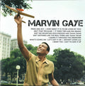Marvin Gaye - Icon: Marvin Gaye (CD)