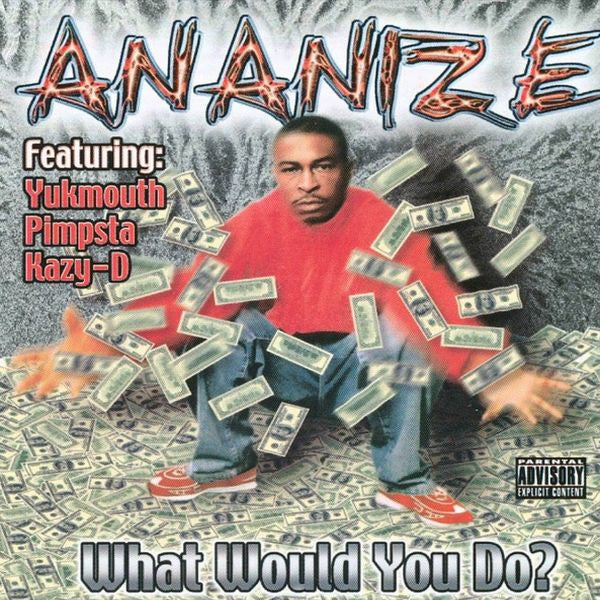 Ananize - What Would You Do? (CD)