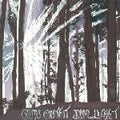 Gun Outfit - Dim Light (CD)