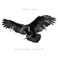 Buried In Verona - Vultures Above Lions Below (CD)