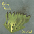 Palaxy Tracks - Cedarland (CD)