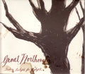 Great Northern - Trading Twilight For Daylight (CD)