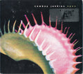Cowboy Junkies - Open (CD)