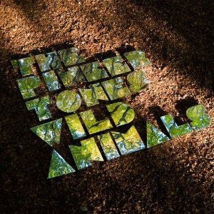 The Pinker Tones - Wild Animals (CD)
