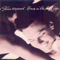 Steve Winwood - Back in the High Life (CD)
