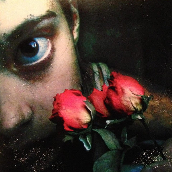 Thebleedingalarm - Beauty In Destruction (CD)