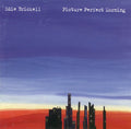 Edie Brickell - Picture Perfect Morning (CD)