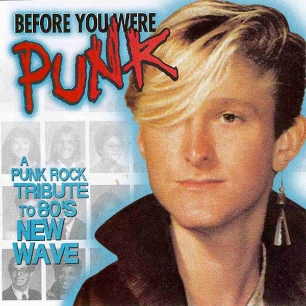 Vol. 1-Before You Were Punk (CD)