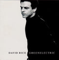 David Rice - greenelectric (CD)