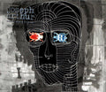 Joseph Arthur - Come To Where I'm From (CD)