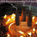 Steve Berrios / Son Bacheche - First World (CD)