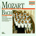 Die Wiener Sangerknaben - Christmas with the Vienna Boys' Choir (CD)