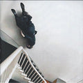 Bad Powers - Bad Powers (CD)
