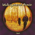 Widespread Panic - Ball (CD)