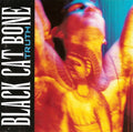 Black Cat Bone - Truth (CD)