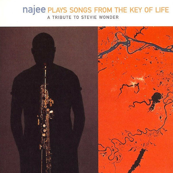 Najee - Najee Plays Songs from the Key of Life: A Tribute to Stevie Wonder (CD)