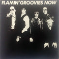 The Flamin' Groovies - Now (CD)