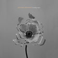 The Naked And Famous - In Rolling Waves (CD)