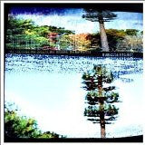 Burnside Project - The Networks, The Circuits, The Streams (CD)