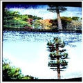 Burnside Project - The Networks, The Circuits, The Streams (CD)