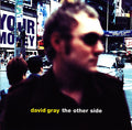 David Gray - Other Side (CD)