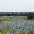 W. W. Lowman - Plain Songs (CD)