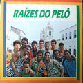 Raizes Do Pelo - Samba Bahiana (CD)