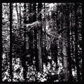 Sombrous - Transcending the Umbra (CD)