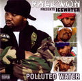 Raekwon - Polluted Water (CD)