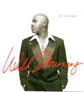 Will Downing - Steven Curtis Chapman Greatest Hits (CD)