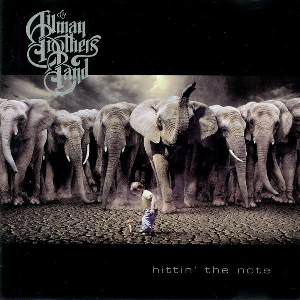The Allman Brothers Band - Hittin' The Note (CD)