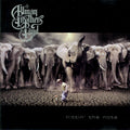 The Allman Brothers Band - Hittin' The Note (CD)