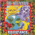 Big Mountain - Resistance (CD)